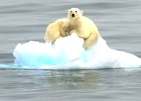 溫室效應產生的主要原因是什么?我們又該如何解決 溫室效應產生的主要原因是什么?我們又該如何解決