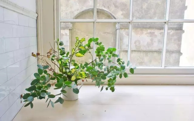 通風(fēng)半年甲醛仍超標(biāo)？甲醛治理要注意