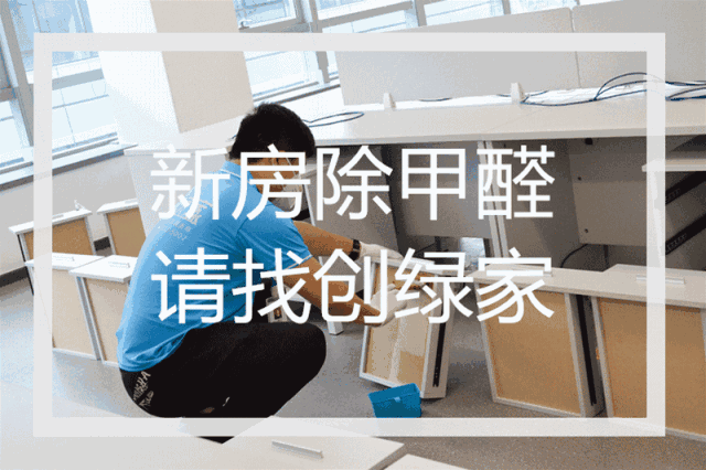 誰說***是多么寂寞，創(chuàng)綠家?guī)惺芟略?00強企業(yè)工作是怎樣的體驗！