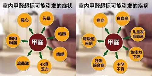 畢業季&租房季 清楚這幾點就能避開甲醛超標公寓 畢業季&租房季 清楚這幾點就能避開甲醛超標公寓
