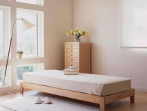 除甲醛,防止室內(nèi)裝修污染