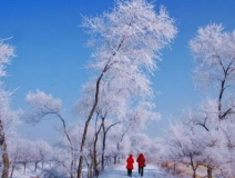 如何解決冬季室內和車內環境污染問題的問題呢?