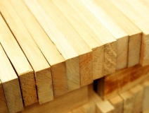 家長們集體發聲：不要打著“環保”的旗子對孩子痛下毒手！