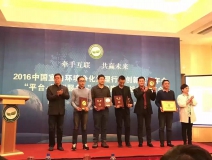 祝賀創綠家光觸媒榮獲2016凈化藥劑產品技術創新成果獎!