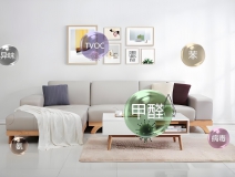 如何選擇除甲醛品牌？品牌優勢與服務能力解析