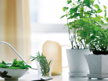 如何選擇一家靠譜的除甲醛公司？