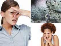 家里有異味怎么辦?科學(xué)除味、治理甲醛就對(duì)了!