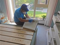 如何有效地除甲醛？