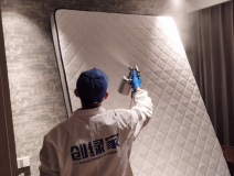 偏方真的能去除甲醛嗎?