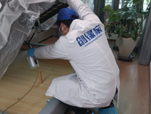 除甲醛的好方法有哪些?