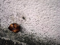 十分鐘閱讀 | 俞敏洪:為了自己而工作