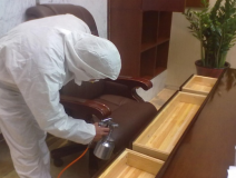 室內除甲醛有哪些專業的方法？