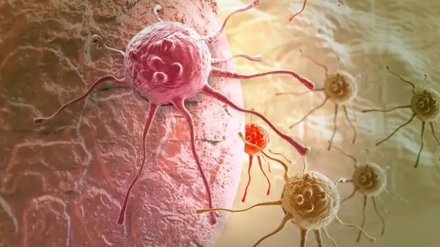 癌癥、白血病越來(lái)越多，是因?yàn)闀r(shí)代在進(jìn)步而導(dǎo)致的嗎？